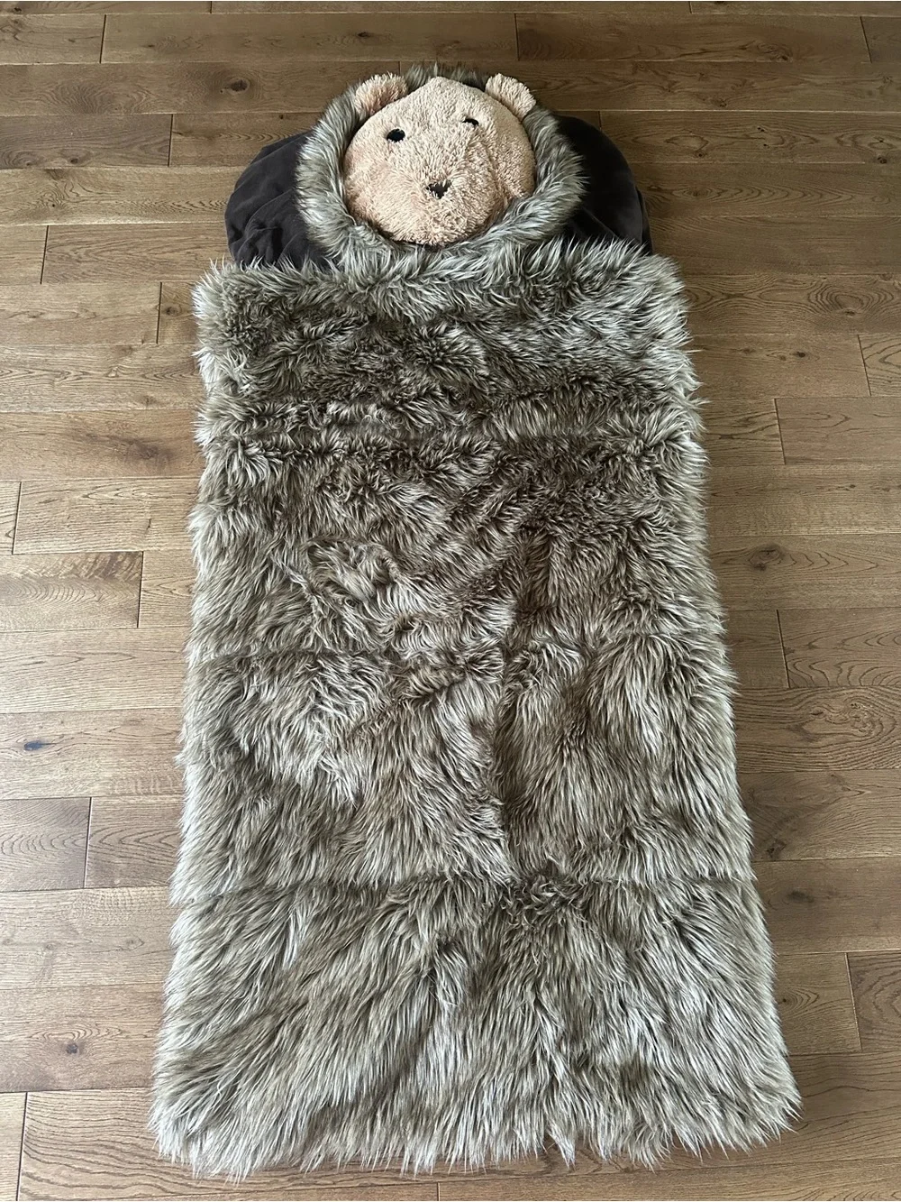 Restoration Hardware Baby& Child Faux Fur Sleeping Bag Lion